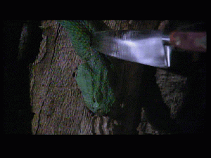 doc0244.gif